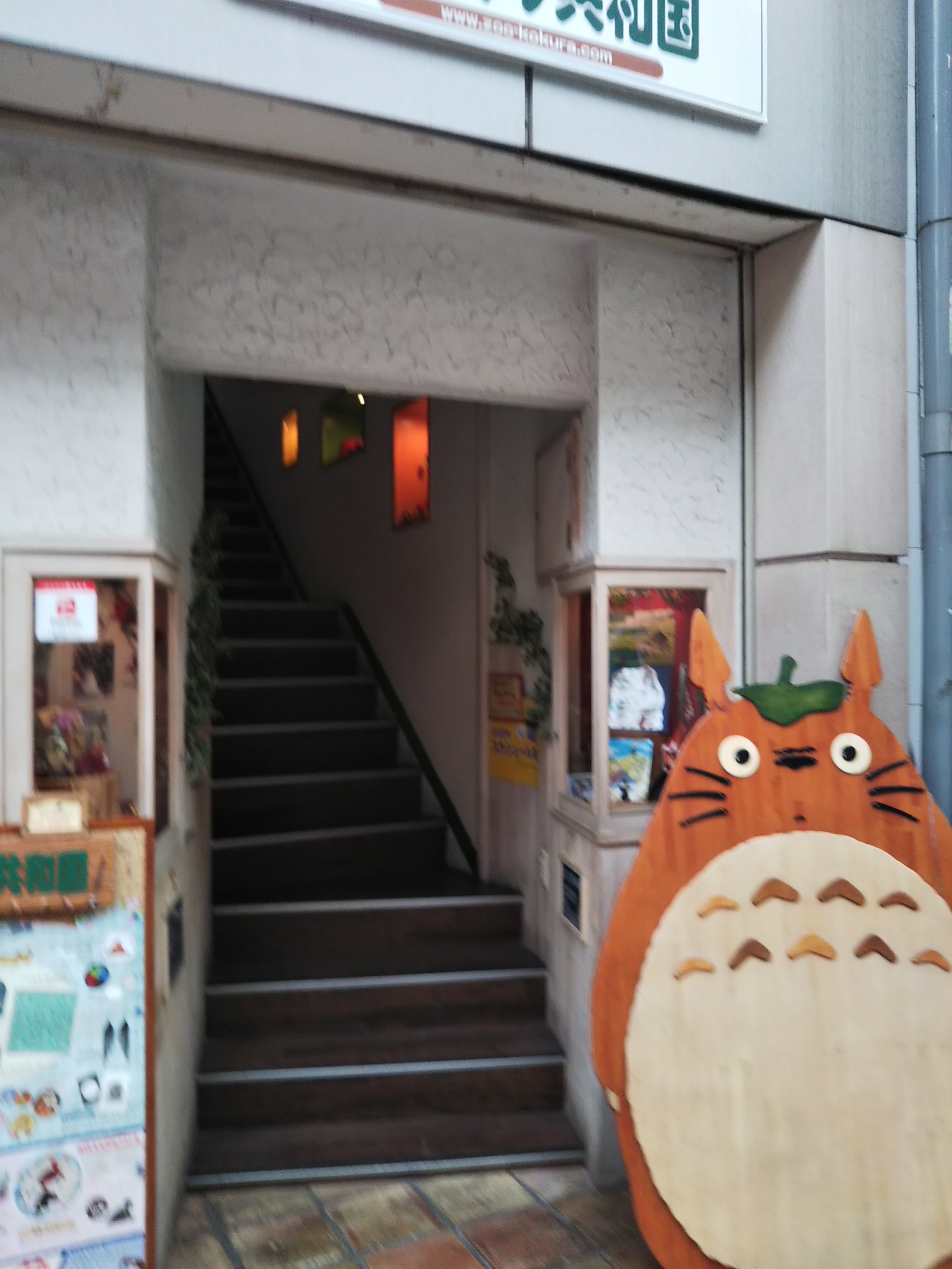 どんぐり共和国 トトログッズ 小倉北区 どんぐり共和国 トトログッズ 小倉北区