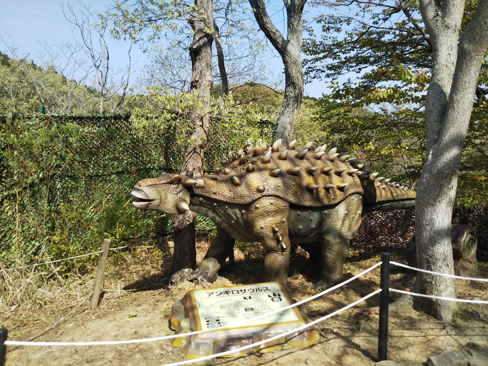 グリーンパーク 若松区